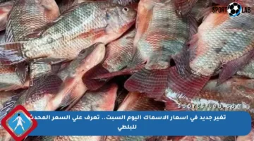 تغير جديد في أسعار الأسماك اليوم السبت.. تعرف على السعر المحدث للبلطي